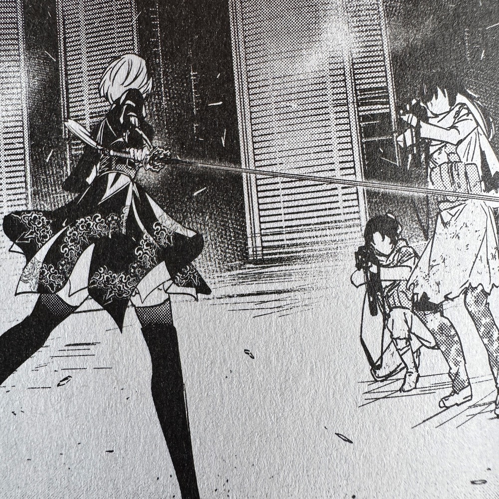 Nier-04-9.JPG