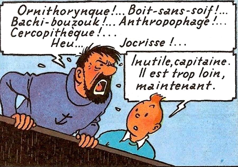 WTF-Tintin-3.jpg